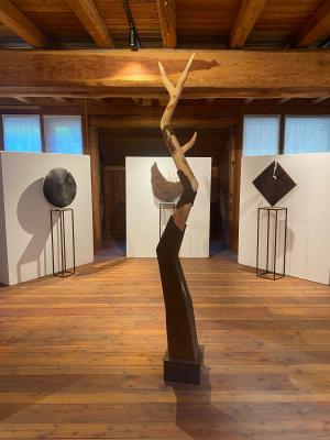 A Casa Cüs la Mostra di Nicola Cozzio