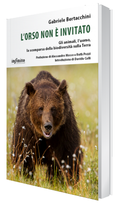L'orso non è invitato | Il libro di Gabriele Bertacchini