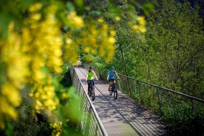 In bici tra fiori e sapori in Val Rendena