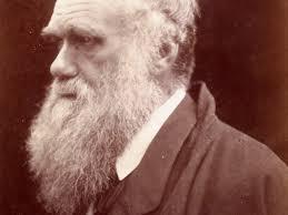 Esce "L'origine della Specie" di Darwin