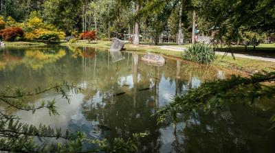 L'unione tra bellezza, salute e benessere in Trentino