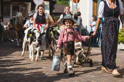 In Primiero &egrave; tutto pronto per la Gran festa del desmontegar