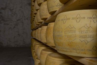 Federcoop | Trentingrana: al via la stagionatura del formaggio Dop nelle cave di dolomia a 200 metri nel sottosuolo