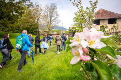 Fiorinda e Quattro ville in fiore: la festa di primavera della Val di Non