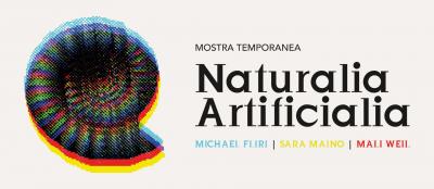 Una nuova mostra temporanea al Museo della Città di Rovereto: Artificialia