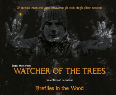 Arco | Dario Marconcini presenta l'album «Fireflies in the Wood»