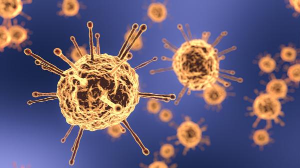 coronavirus.jpg